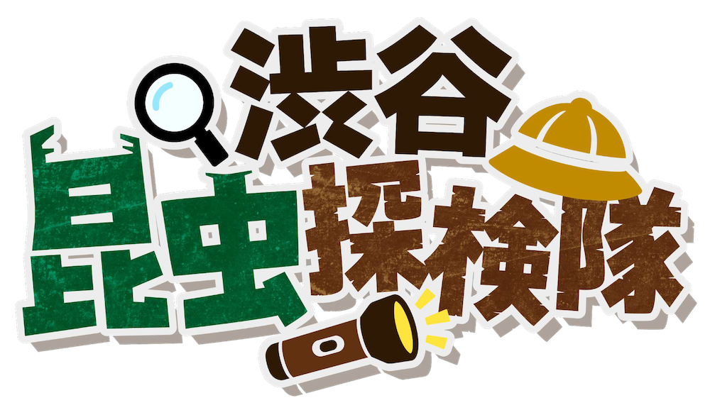 渋谷昆虫探検隊