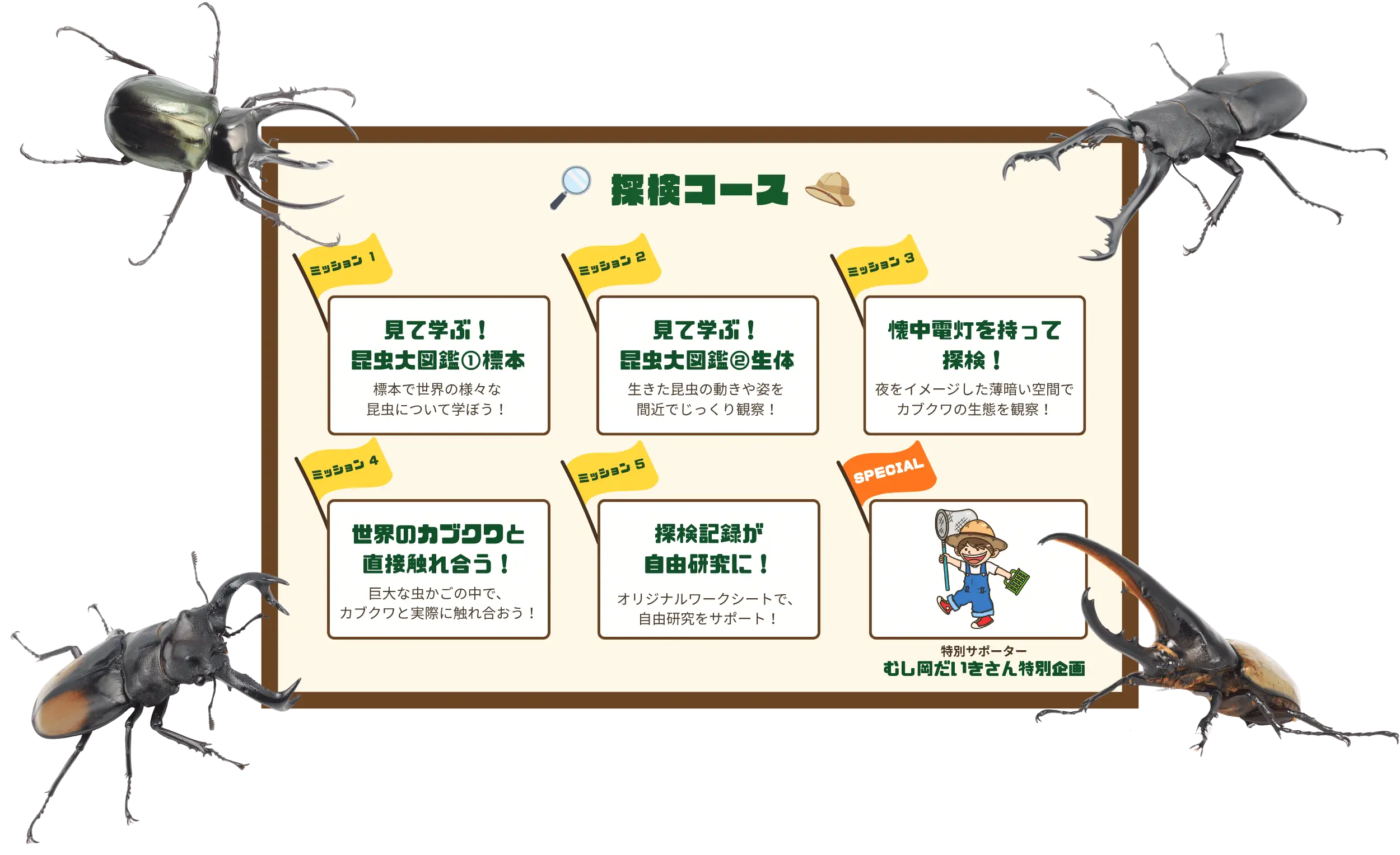 探検コース